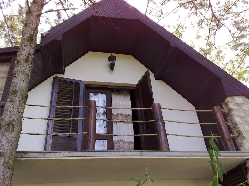 Guesthouse Bajka Vinci 외부 사진