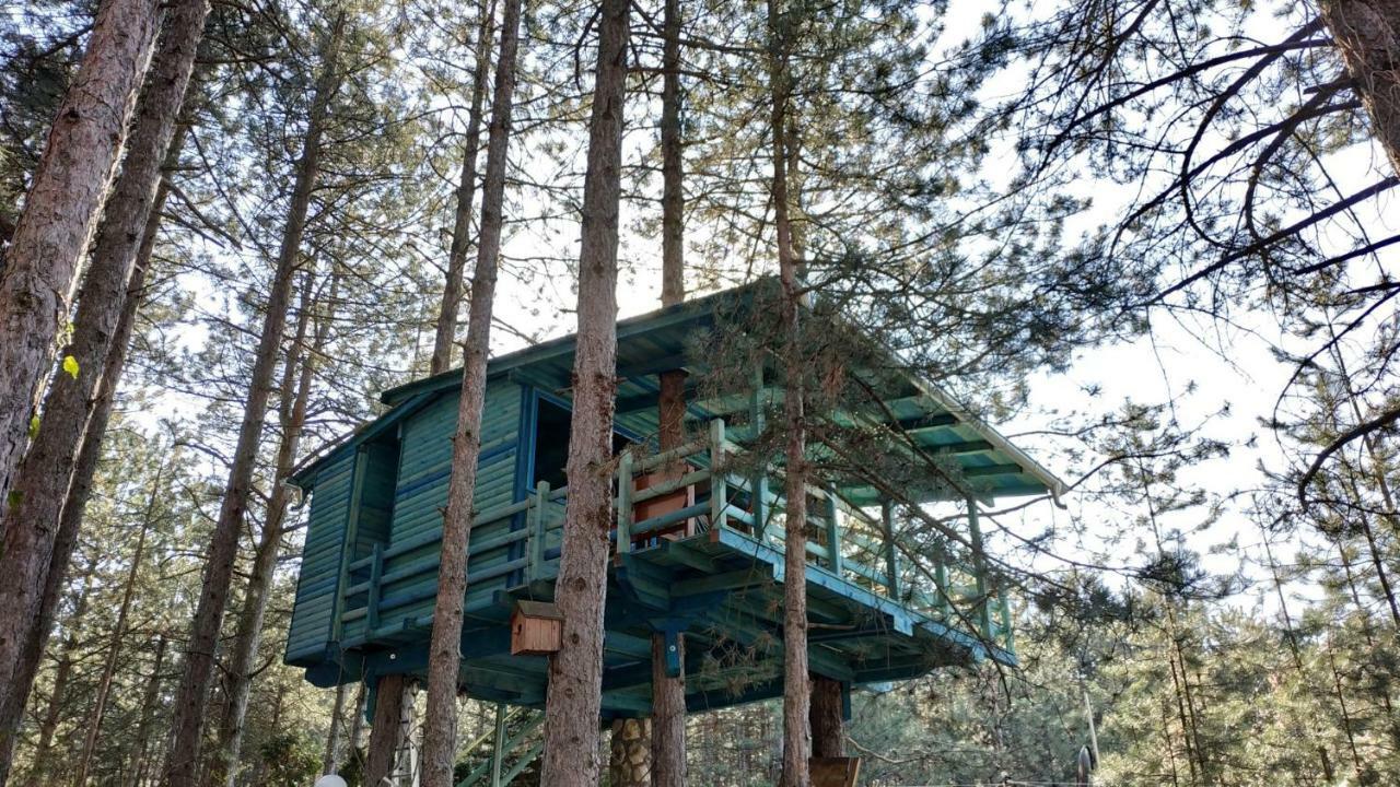 Guesthouse Bajka Vinci 외부 사진
