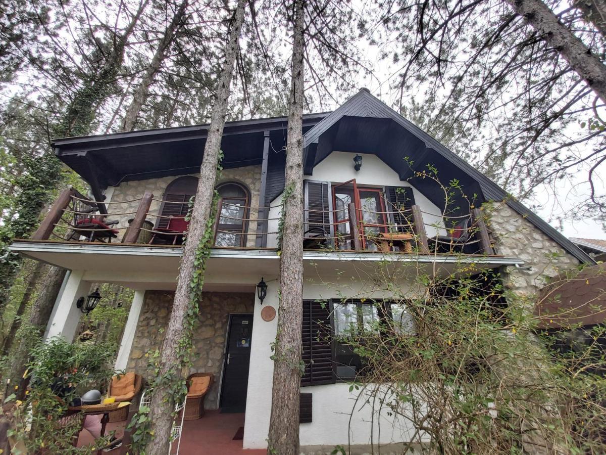 Guesthouse Bajka Vinci 외부 사진